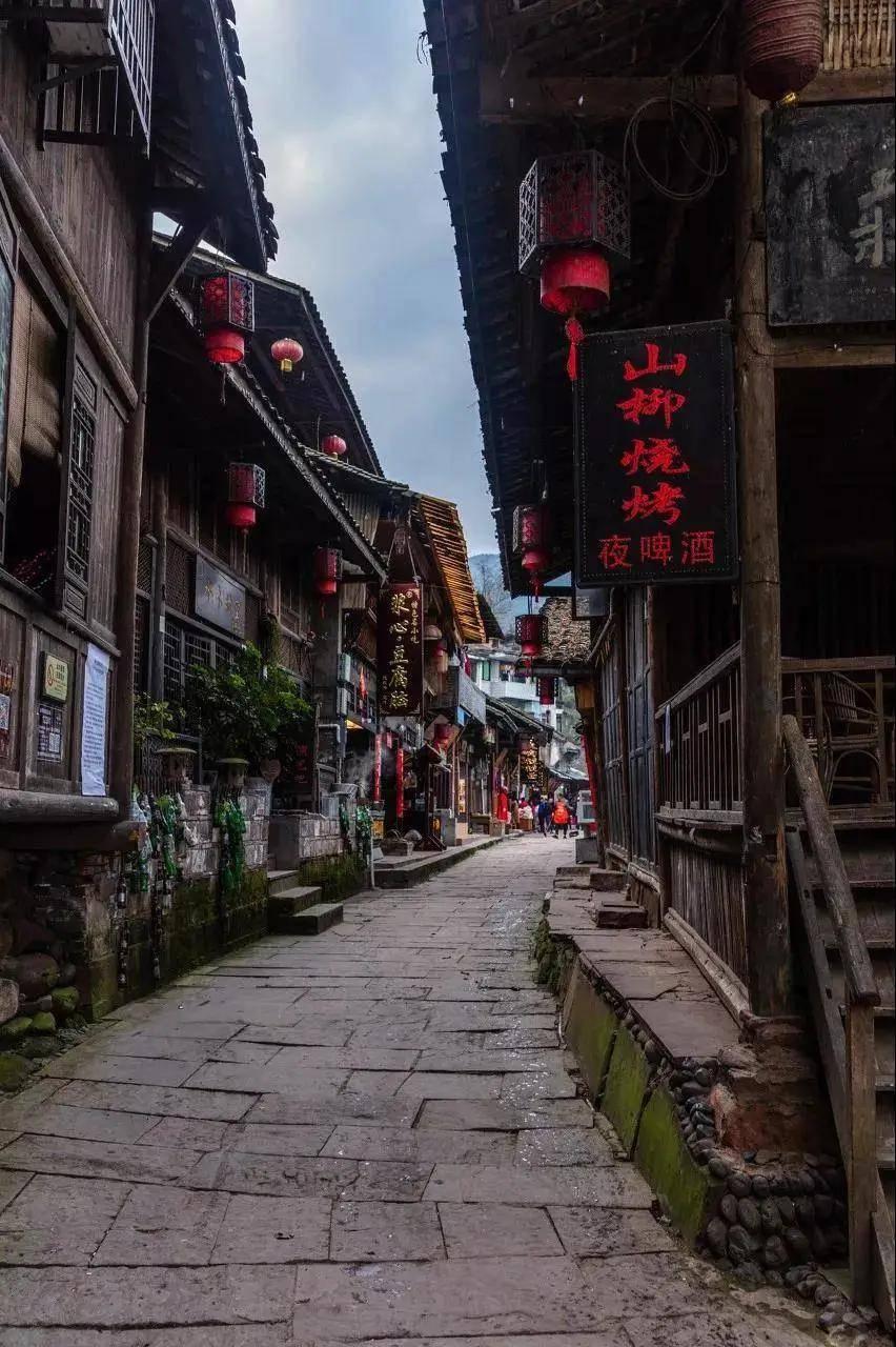 照顾小兔宝宝